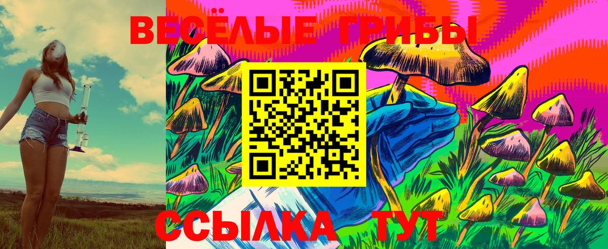 Улан-Удэ  Галлюциногенные грибы Psilocybine cubensis  Вход с VPN 